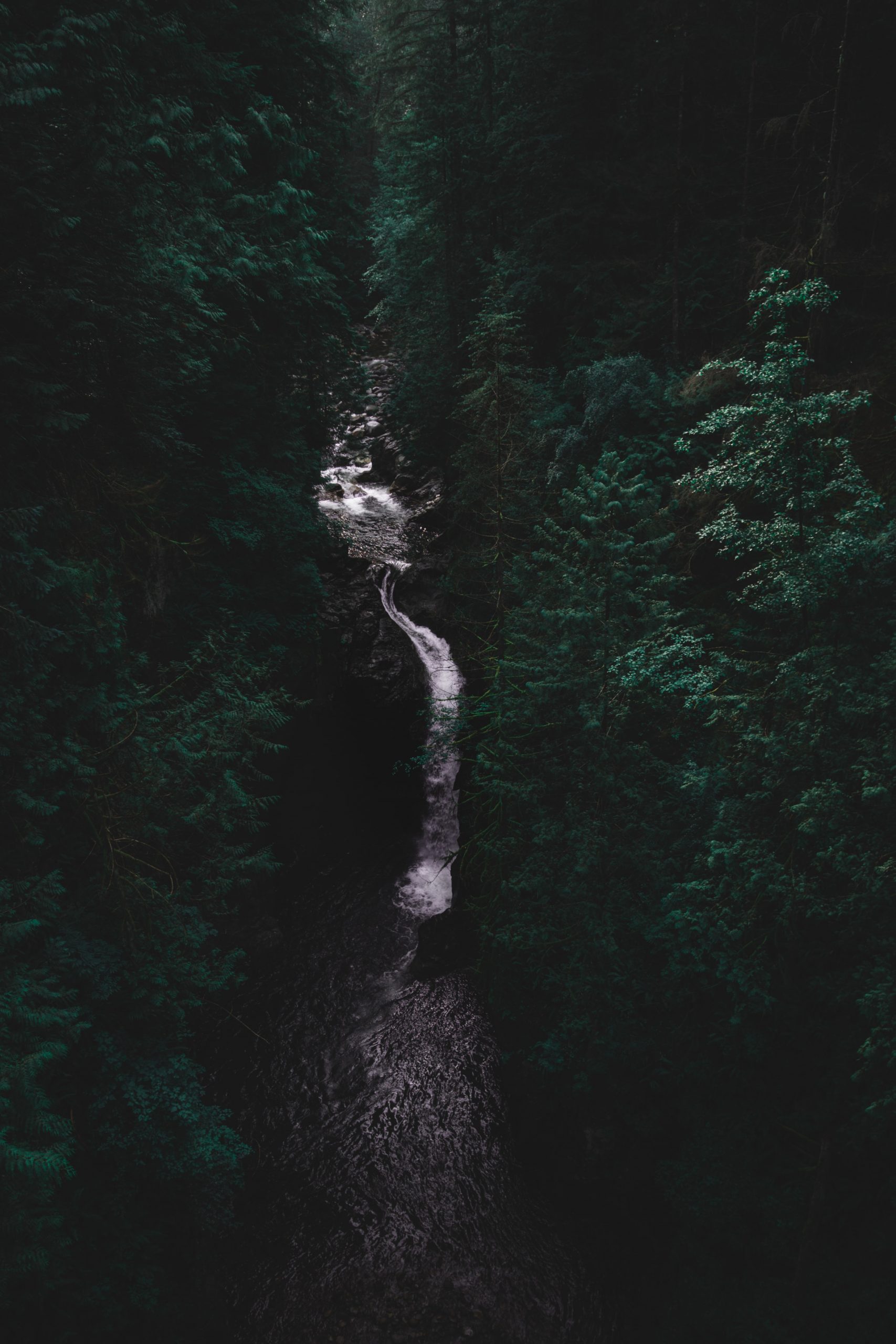 john-vicente-QzModoSuEHk-unsplash